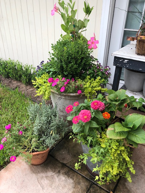 So showy –&nbsp;Planters